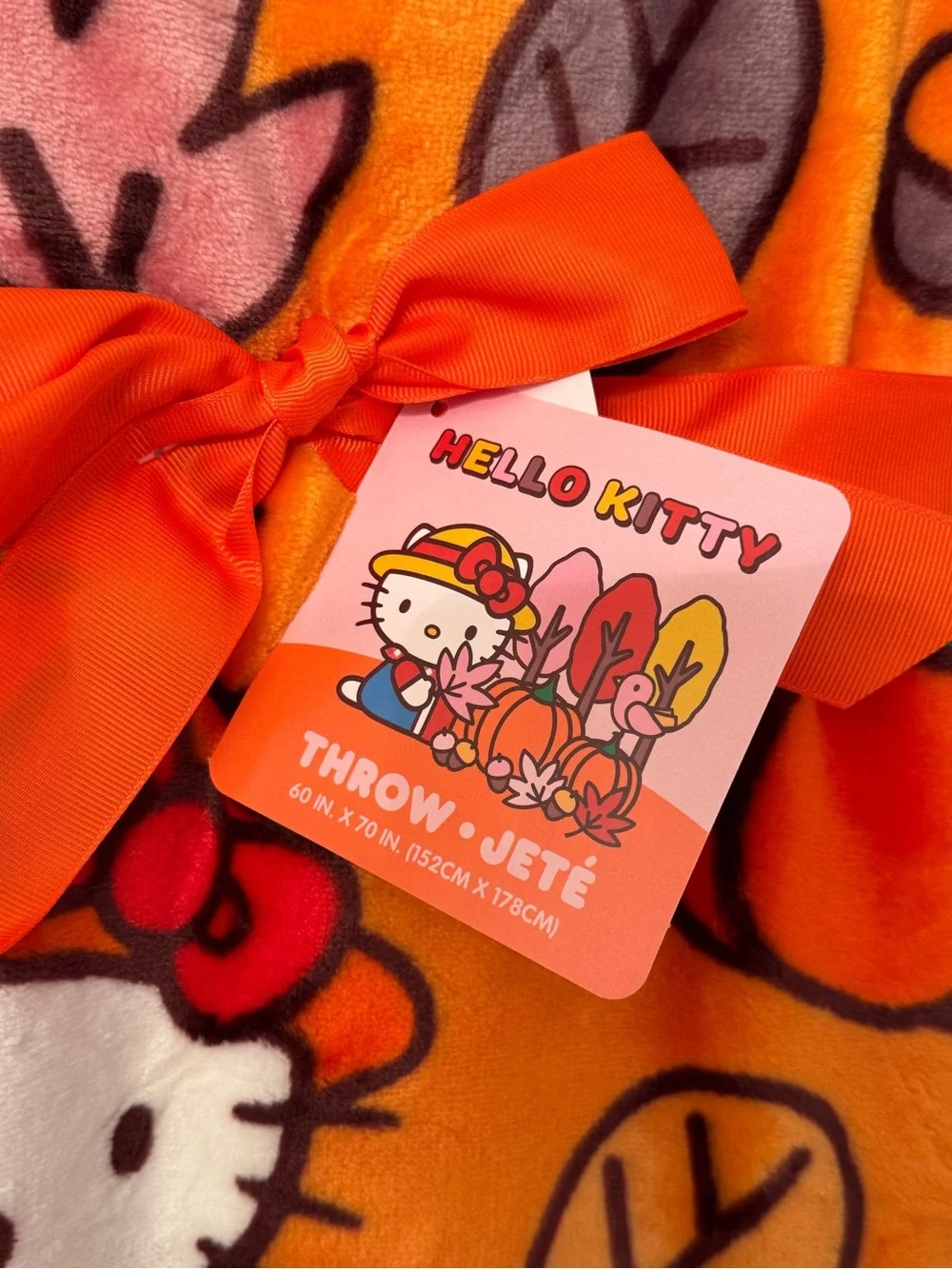Hello Kitty Fall Pumpkin Plush Throw Blanket 60x70